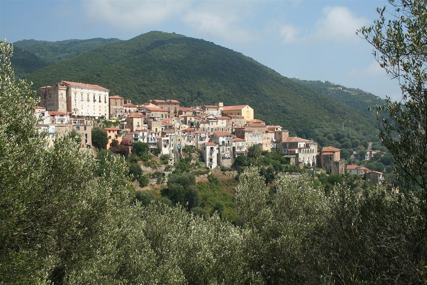 Il borgo di Pisciotta tra gli uliveti, con il palazzo Ciaccio