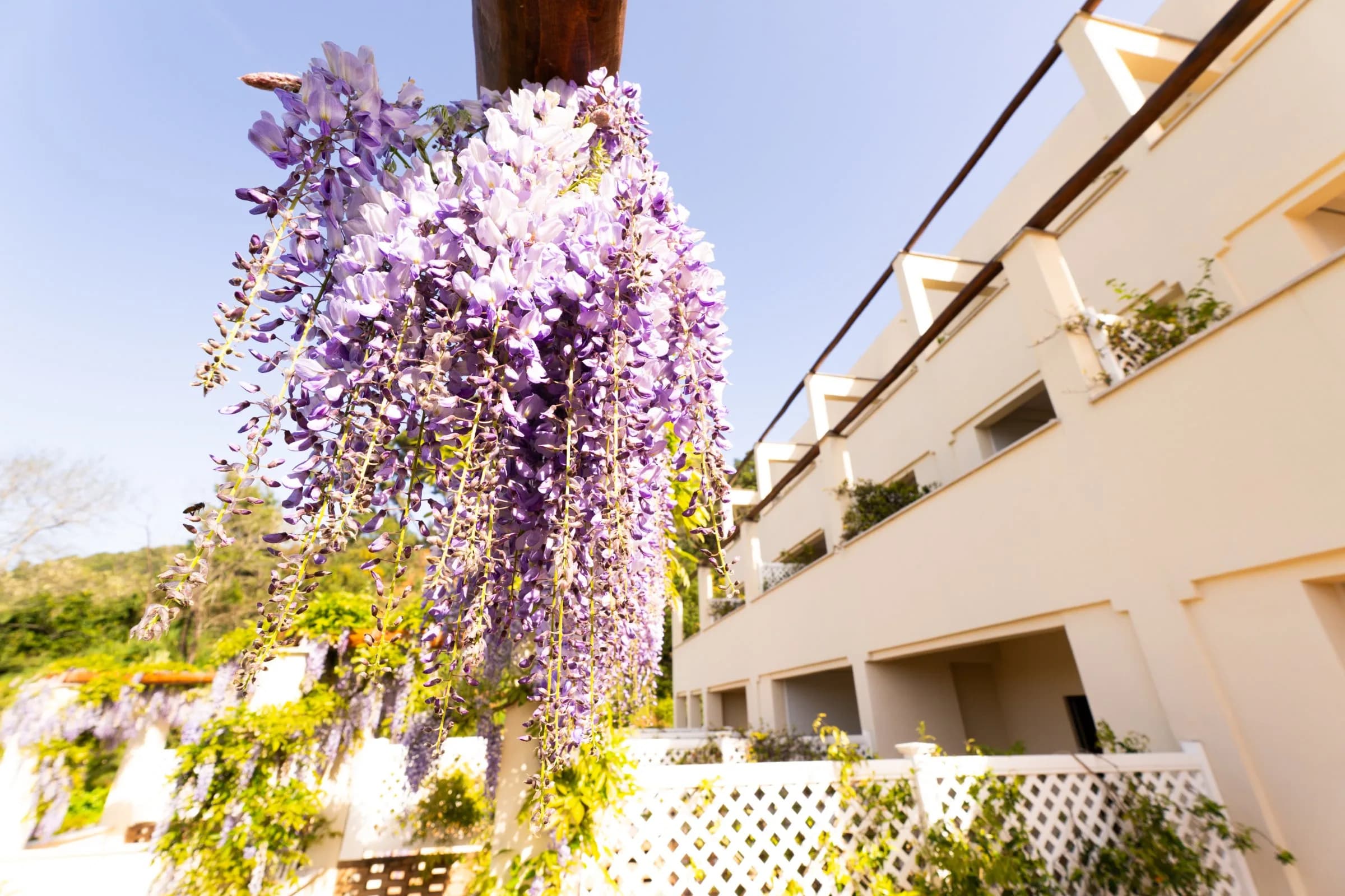 Hotel & Spa